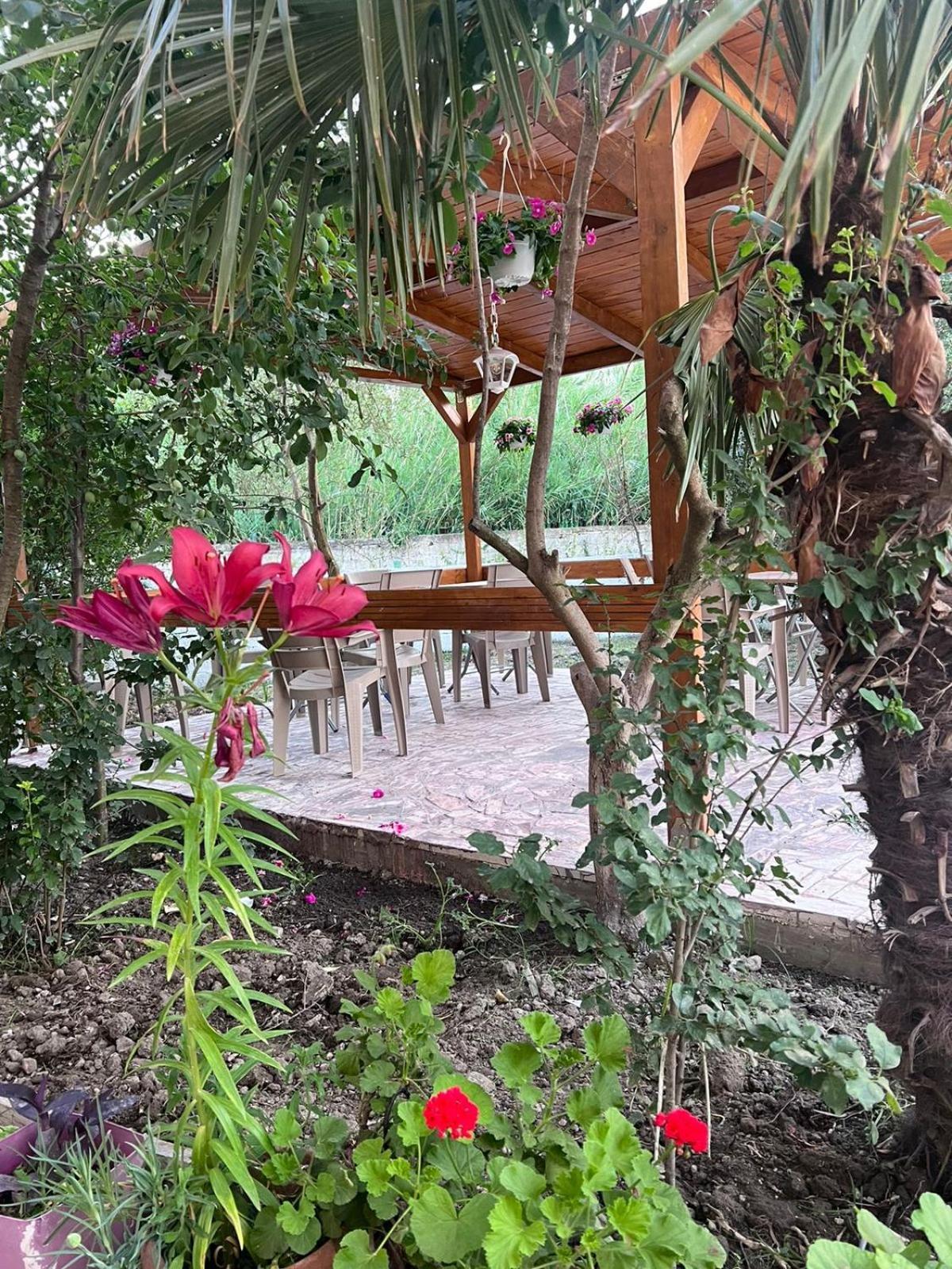 Vila Magis Vlorë Exterior foto